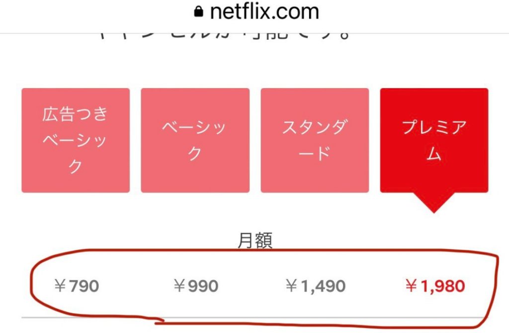 Netflix　日本円契約